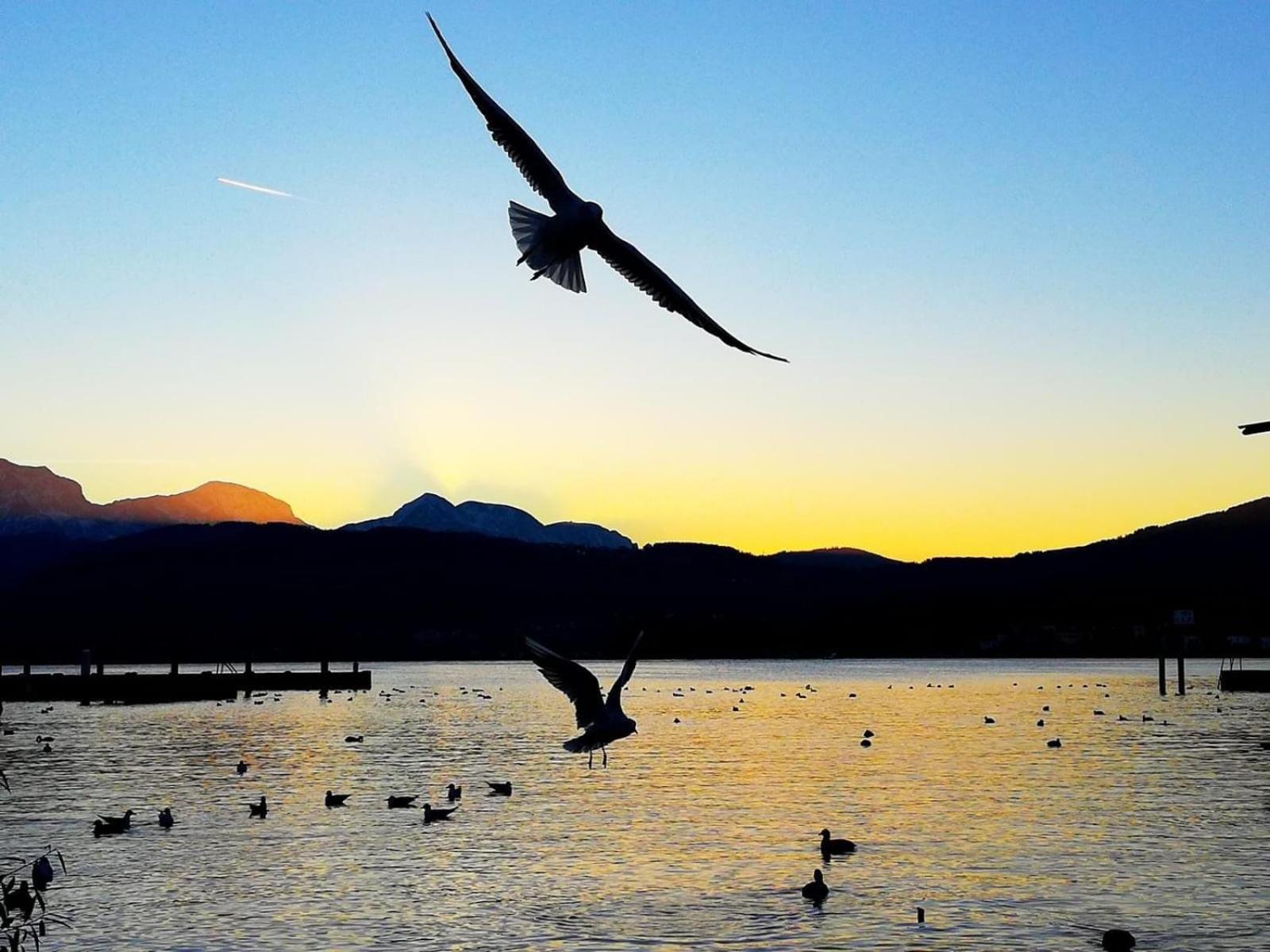 Seepanorama An Der Esplanade 1 Gmunden Eksteriør billede