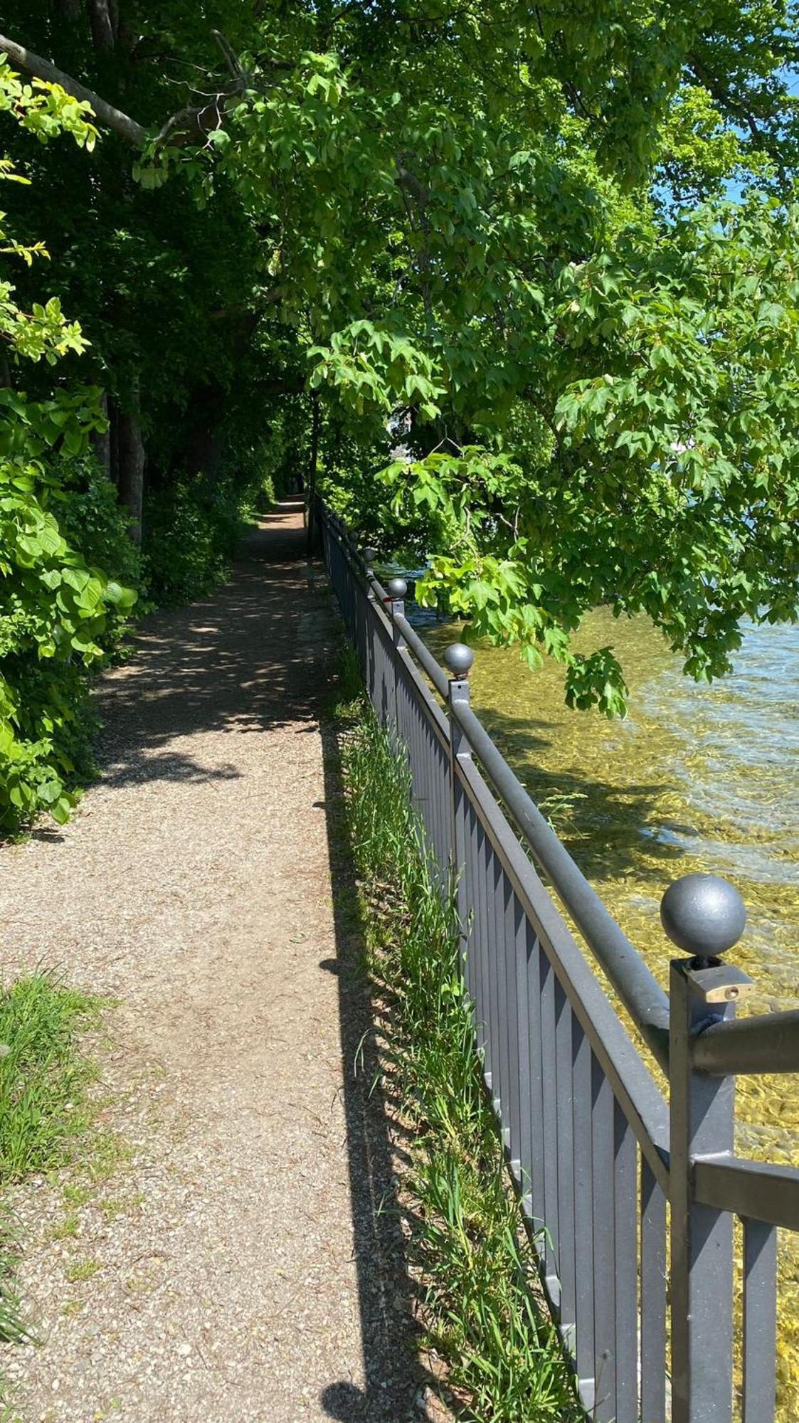 Seepanorama An Der Esplanade 1 Gmunden Eksteriør billede