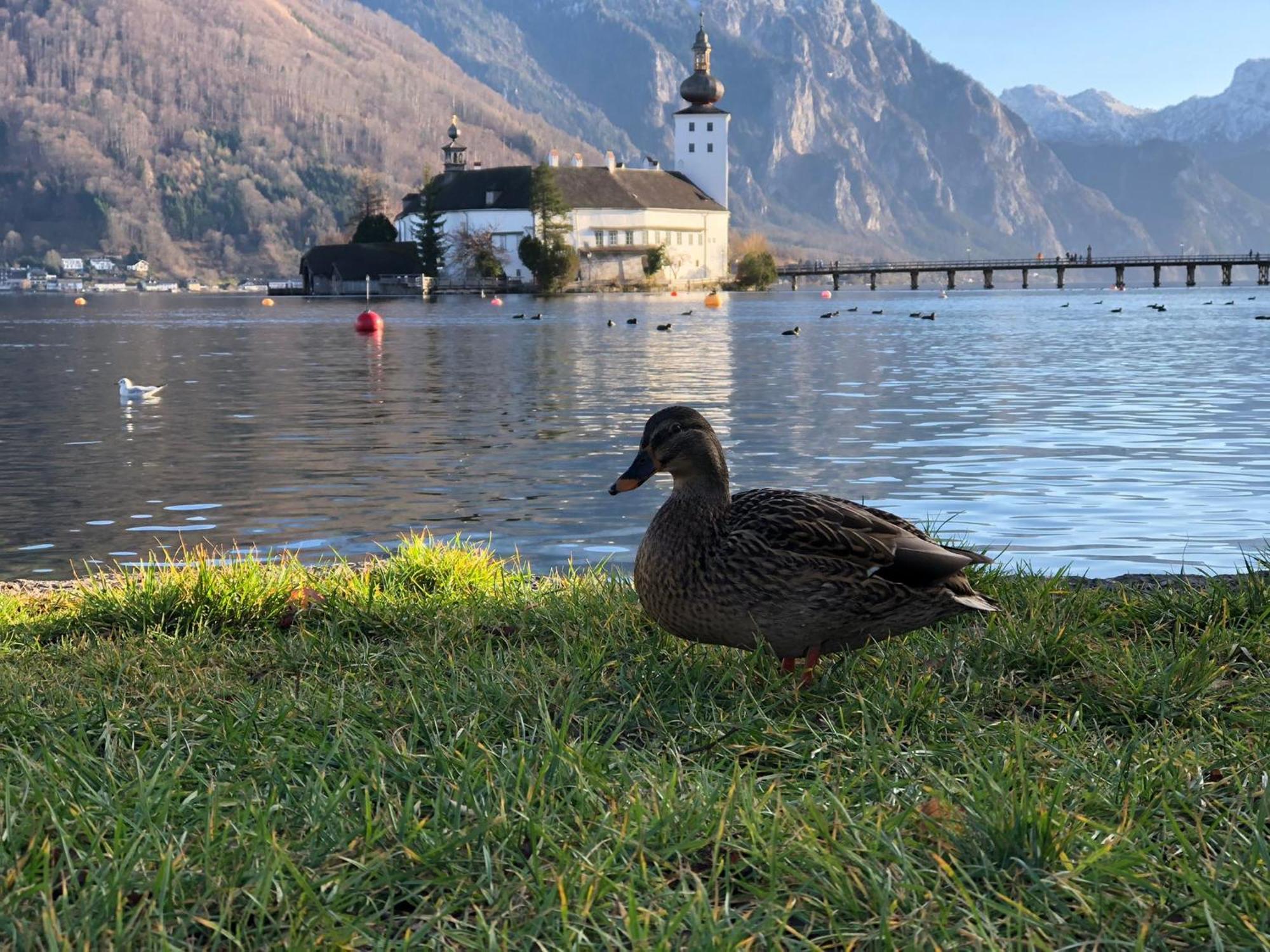 Seepanorama An Der Esplanade 1 Gmunden Eksteriør billede