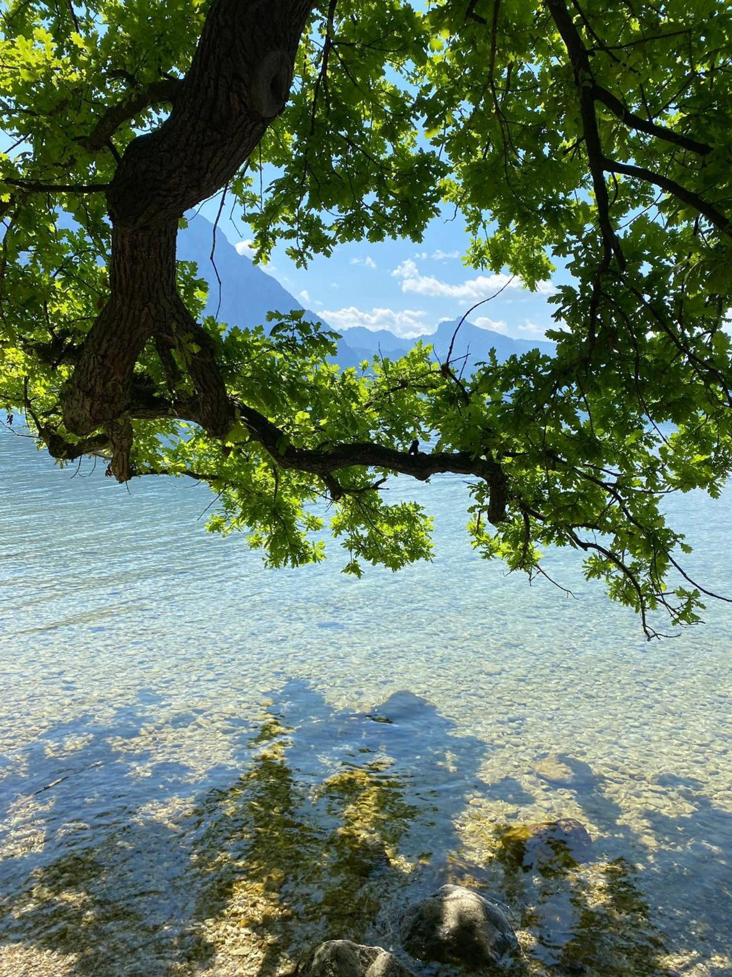 Seepanorama An Der Esplanade 1 Gmunden Eksteriør billede